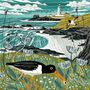 Jane McMorland Hunter: Sunny Spells and Scattered Showers: A Weather Poem for Every Day of the Year, Buch