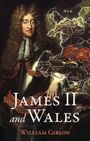 William Gibson: James II and Wales, Buch