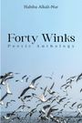 Habiba Alkali-Nur: Forty Winks, Buch