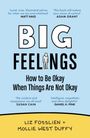 Liz Fosslien: Big Feelings, Buch