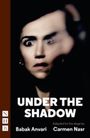 Babak Anvari: Under the Shadow, Buch