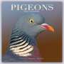 : Pigeons - Tauben 2023 - 16-Monatskalender, KAL