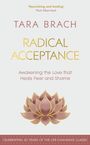 Tara Brach: Radical Acceptance, Buch