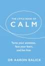 Aaron Balick: The Little Book of Calm, Buch