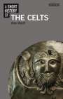 Alex Woolf: A Short History of the Celts, Buch