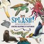 Donovan Bixley: Splash!, Buch