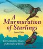 Steve Palin: A Murmuration of Starlings, Buch