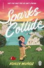 Text: "She's the only fire he can't contain. Sparks Collide. Ashley Muñoz." Illustration: Paar umarmt sich, bei Sonnenuntergang.