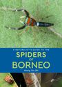 Tsu Shi Wong: A Naturalist's Guide to the Spiders of Borneo, Buch