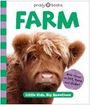 Priddy Books: Farm (Little Kids, Big Questions), Buch