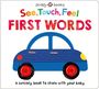 „See, Touch, Feel: FIRST WORDS“ in bunten und roten Buchstaben. Illustration: Blaues Auto mit roten Rädern.