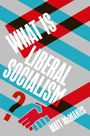 Matt McManus: What Is Liberal Socialism?, Buch