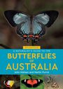 Text: "3rd Edition. A Naturalist’s Guide to the Butterflies of Australia. John Nielsen and Martin Purvis."  
Großer, leuchtender Schmetterling im Zentrum.