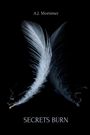 A J Mortimer: Secrets Burn, Buch