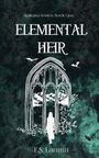 E S Lannin: Elemental Heir, Buch