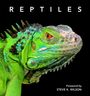 Steve Wilson: Reptiles, Buch