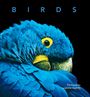 Simon Papps: Birds, Buch