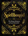 Lucy Cavendish: Spellbound, Buch