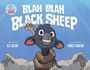 N D Wilson: Blah Blah Black Sheep, Buch