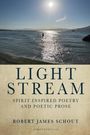 Robert Schout: Light Stream, Buch