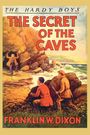Franklin W. Dixon: The Hardy Boys, Buch