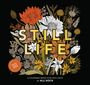 Alli Koch: Still Life, Buch