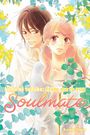 Karuho Shiina: Kimi ni Todoke: From Me to You: Soulmate, Vol. 2, Buch