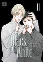 Sachimo: Black or White, Vol. 11, Buch