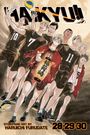 Großer Text: "HAIKYU!!" darunter Figuren in Volleyball-Trikots, eine Figur hält eine Laterne mit japanischen Schriftzeichen.