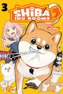 "SHIBA INU ROOMS", "Story & Art: Esu Omori". Ein großer, fröhlicher Shiba Inu hält einen Schnürsenkel. Illustration im Manga-Stil.