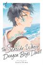 "1", "The Seaside Where Dragon Boys Dwell", "Story and Art by Asato Shima". Illustration: Junge am Strand, Meer im Hintergrund.