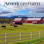 : American Farm 2024 Square, KAL