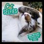: Cat Selfies 2024 Square, KAL