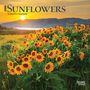 : Sunflowers 2024 Mini 7x7, Buch