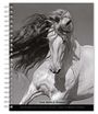 : Horse, the Noble, the Browntrout Portrait Series 2024 Engagement, KAL