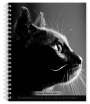 Browntrout: The Browntrout Portrait Series: The Regal Cat 2025 6 X 7.75 Inch Spiral-Bound Wire-O Weekly Engagement Planner Calendar New Full-Color Image Every Week, KAL