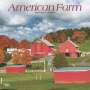 Browntrout: American Farm 2025 12 X 24 Inch Monthly Square Wall Calendar Plastic-Free, KAL