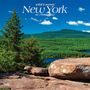 Browntrout: New York Wild & Scenic 2025 12 X 24 Inch Monthly Square Wall Calendar Plastic-Free, KAL