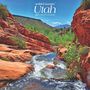 Browntrout: Utah Wild & Scenic 2025 12 X 24 Inch Monthly Square Wall Calendar Plastic-Free, KAL