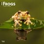 Browntrout: Frogs 2025 12 X 24 Inch Monthly Square Wall Calendar Plastic-Free, KAL