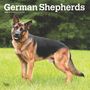 Browntrout: German Shepherds 2025 12 X 24 Inch Monthly Square Wall Calendar Plastic-Free, KAL