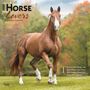 Browntrout: Horse Lovers 2025 12 X 24 Inch Monthly Square Wall Calendar Plastic-Free, KAL