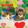 Browntrout: I Love Kittens 2025 12 X 24 Inch Monthly Square Wall Calendar Plastic-Free, KAL