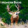 Browntrout: Monster Bucks 2025 12 X 24 Inch Monthly Square Wall Calendar Plastic-Free, KAL