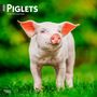 Browntrout: Piglets 2025 12 X 24 Inch Monthly Square Wall Calendar Plastic-Free, KAL