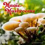 Brush Dance: Magic Mushrooms 2025 12 X 24 Inch Monthly Square Wall Calendar Plastic-Free, KAL