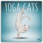 BrownTrout Publisher: Yoga Cats - Yoga-Katzen 2025 - 16-Monatskalender, KAL