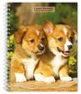 Browntrout: I Love Puppies 2025 6 X 7.75 Inch Spiral-Bound Wire-O Weekly Engagement Planner Calendar New Full-Color Image Every Week, KAL