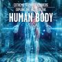 Tricia Hoffman: Explore the Inside of the Human Body, Buch