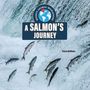 David Lavender: A Salmon's Journey, Buch